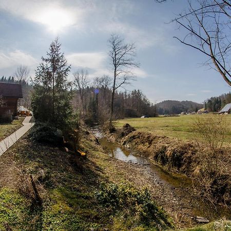 Wooden Cabin Žurej Bukovje v Babni Gori Exteriér fotografie